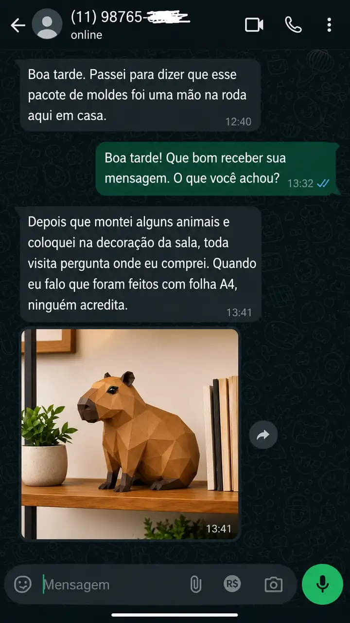 Depoimento de cliente satisfeito com o Mega Acervo de Moldes Decorativos 3D
